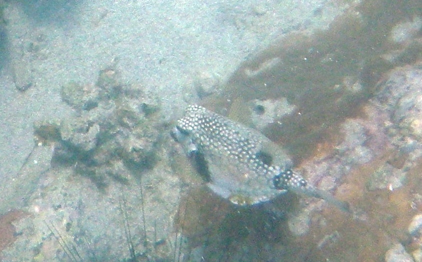 RIMG2507