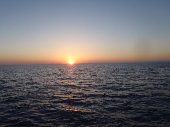 image001