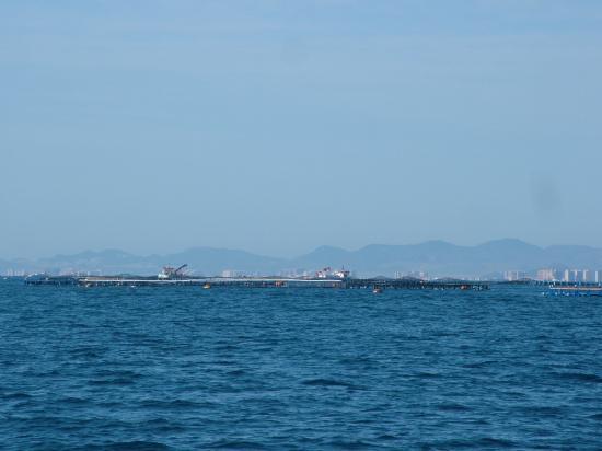 image001