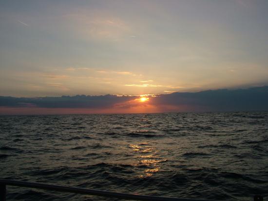 image002