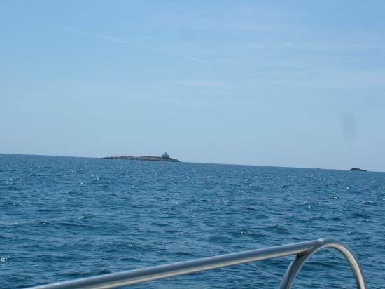 image003