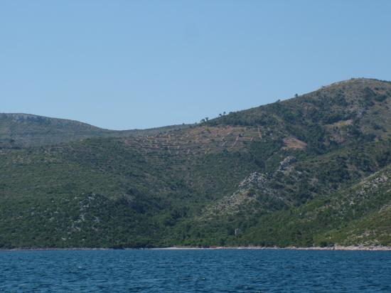 image003