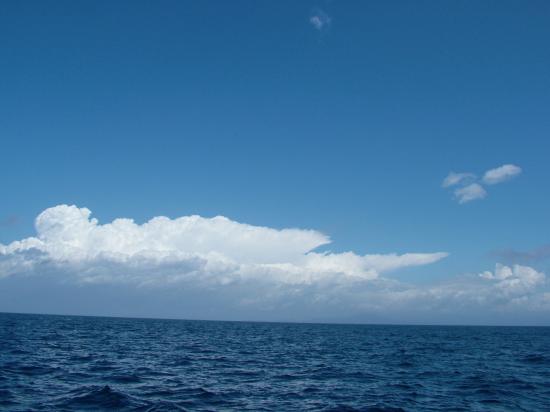 image003