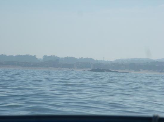 image004