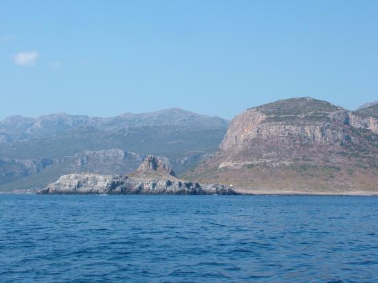 image004