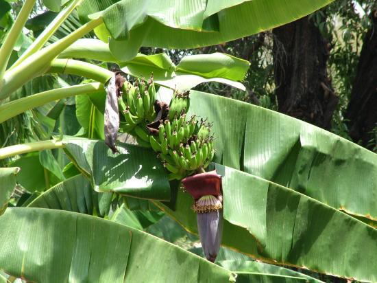 image005