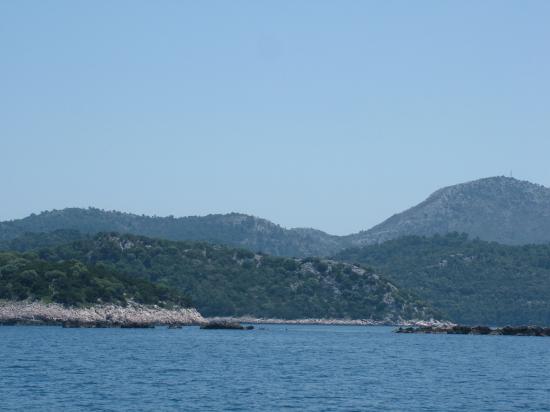 image007