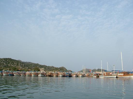 image008
