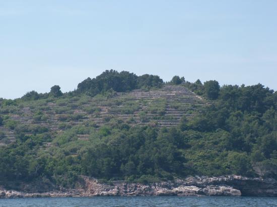 image009