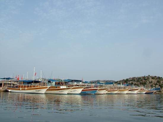 image009