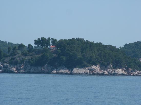 image010