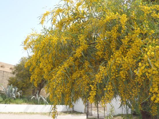 image011
