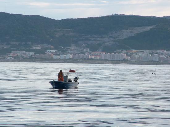 image013
