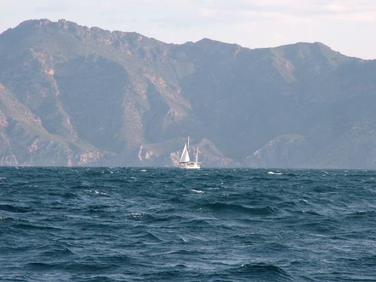 image016