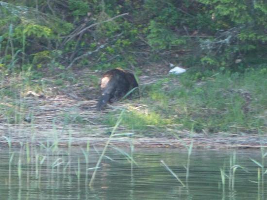 image016