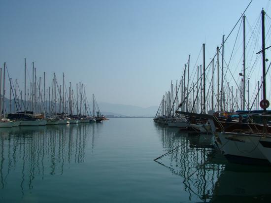 image016