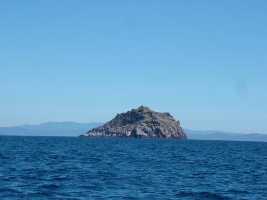 image018