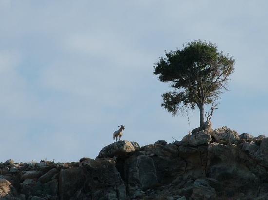 image019