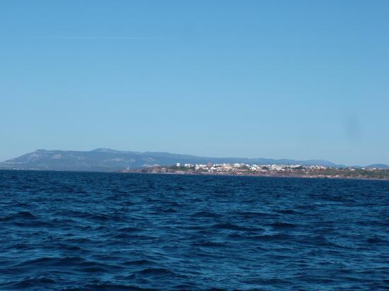 image019