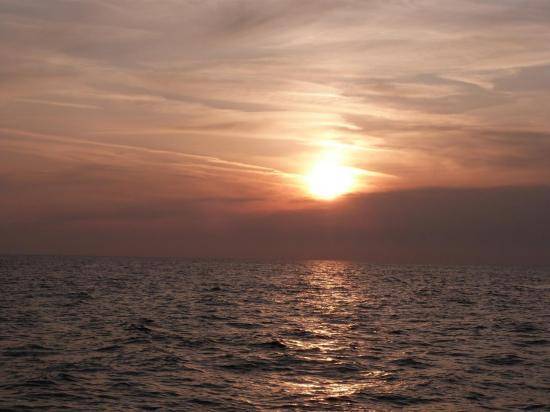 image019