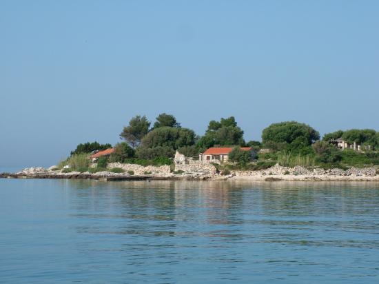 image019