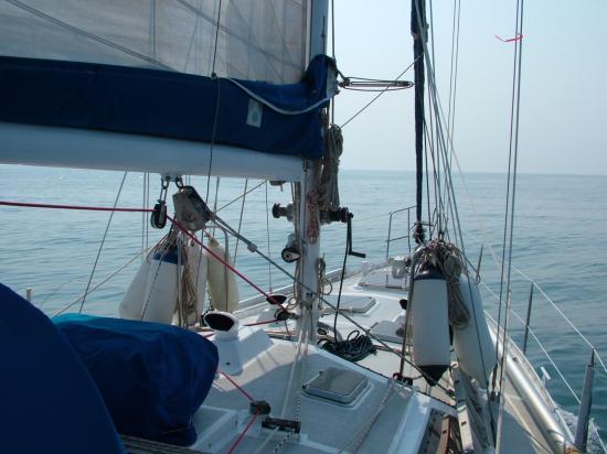 image019