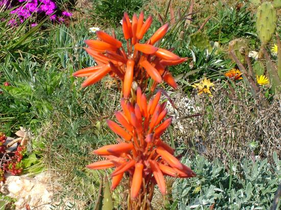image019