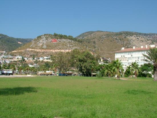 image019