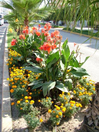 image021