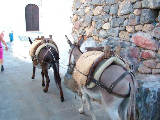 image022