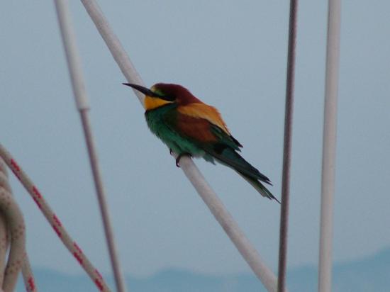 image022