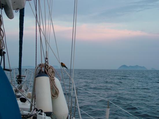 image024