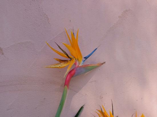image024