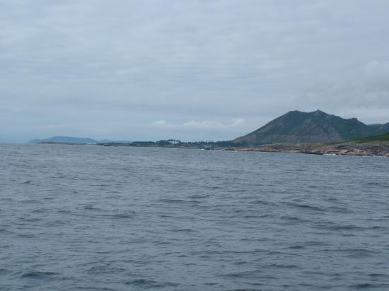 image025