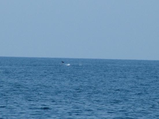image028