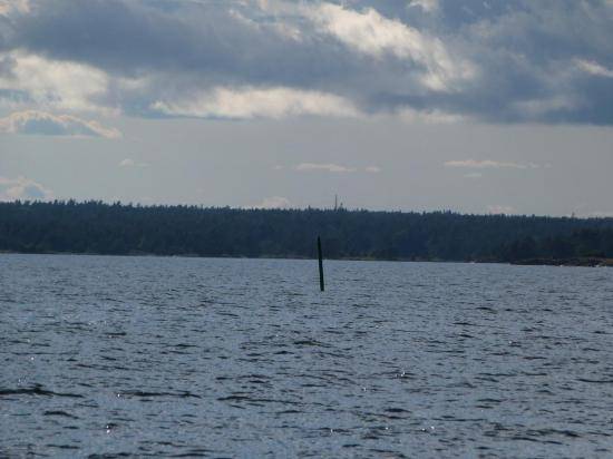 image032