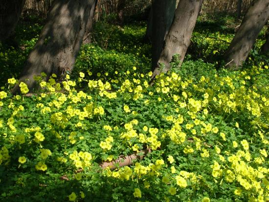 image035