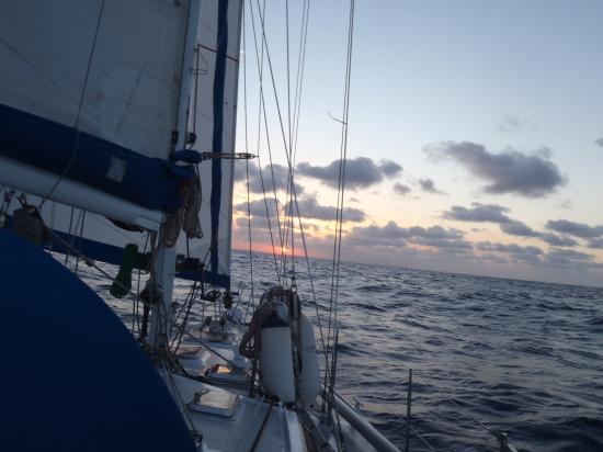 image036