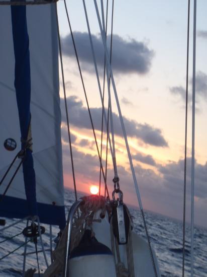 image037