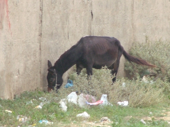 image039