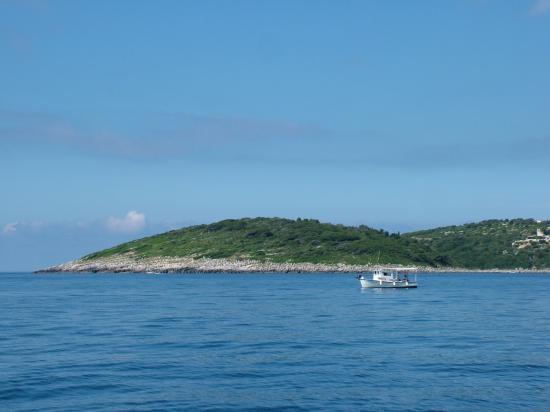 image045