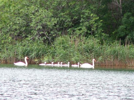 image048