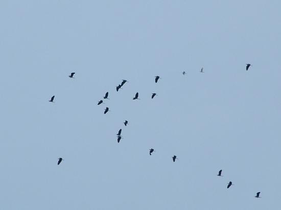 image052