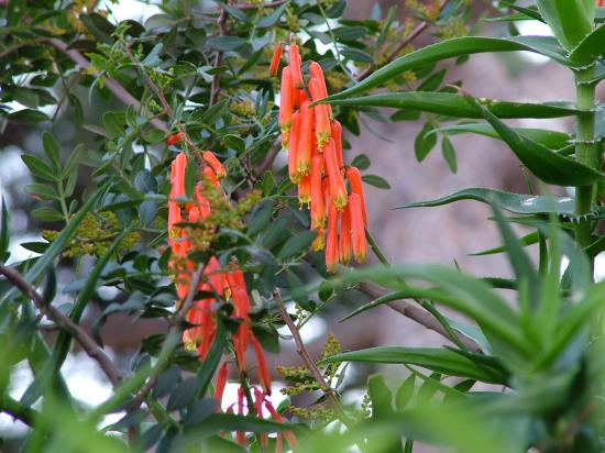 image057