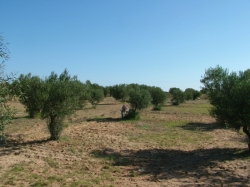 image059