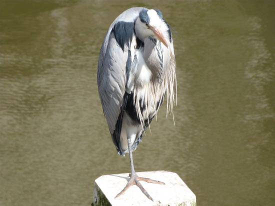 image060