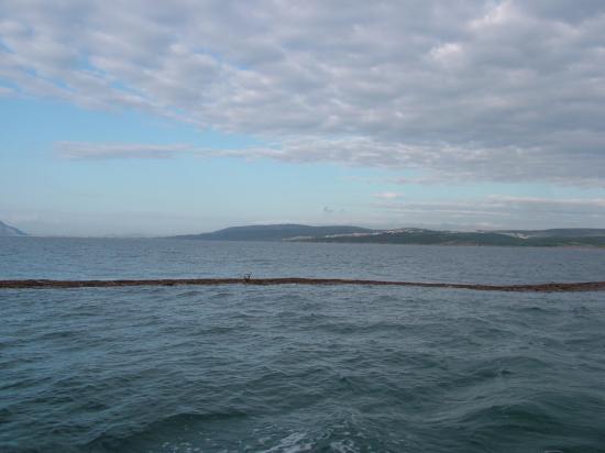 image062