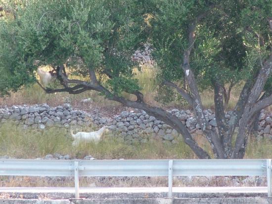 image063