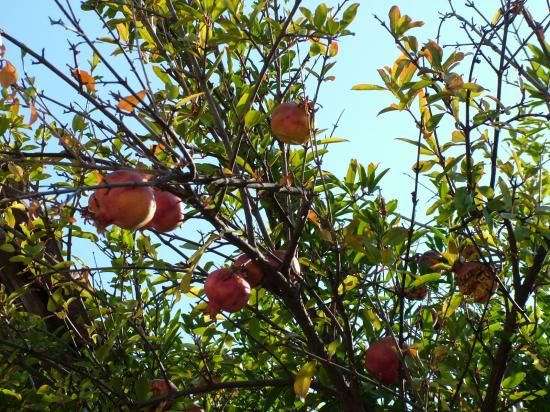 image074