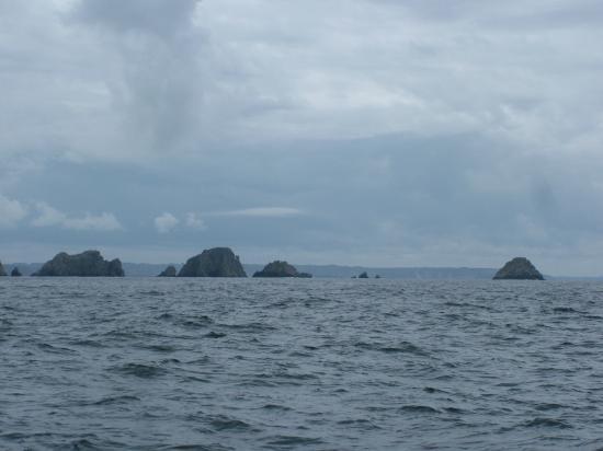 image075